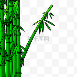 竹子绿色竹叶端午节