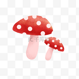 红色的斑点蘑菇