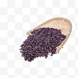 散落的紫米