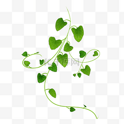 清新海报绿色图片_创意绿色心形叶子藤蔓免抠