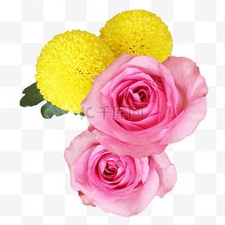 秋季粉色黄色图片_菊花玫瑰花朵花束