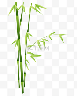 矢量竹子素材图片_矢量卡通绿色竹子png
