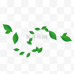 漂浮树叶图片_绿色漂浮树叶