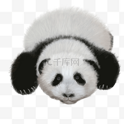 熊猫手绘风图片_水彩手绘风可爱熊猫