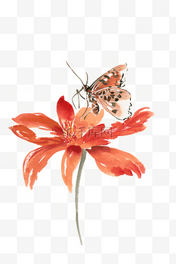 水彩花卉红色花与蝴蝶