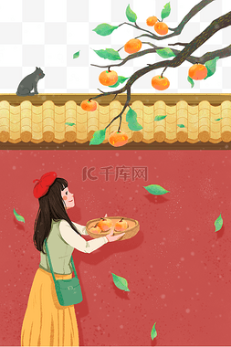 霜降柿子黄色秋天秋季秋树叶落叶