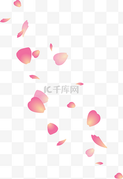 樱花漂浮花瓣
