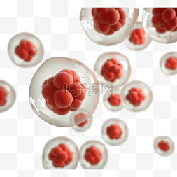 红色细胞3d元素