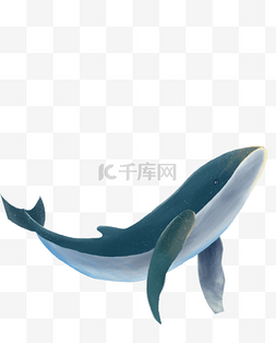 一台鲸鱼