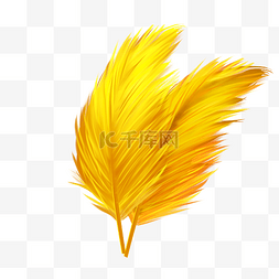 金色动物羽毛