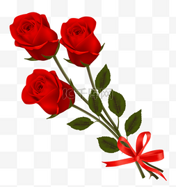 玫瑰花的图片_红色的玫瑰花