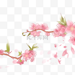 桃花手绘图片_手绘桃花