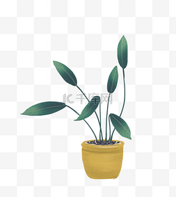 绿色的植物