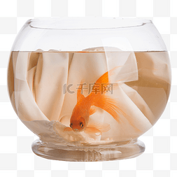 鱼缸矢量图片_圆形玻璃透明金鱼缸