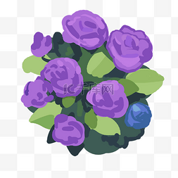 紫色鲜花手捧花