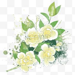 茉莉花俯拍图片_茉莉花 水墨画