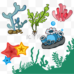 海底植物用品