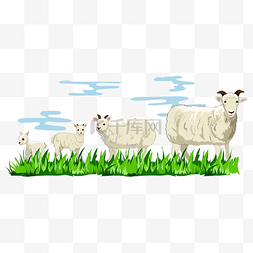 绵羊成长元素