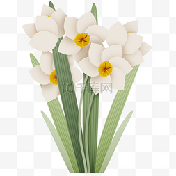 白色剪纸花图片_鲜花水仙花植物花朵大自然春季春