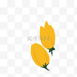 未盛开的花朵图片_黄色的花朵免抠图