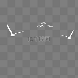 白色的元素图片_白色的海鸥免抠图
