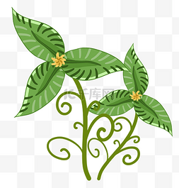 植物环保装饰插图