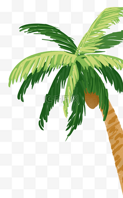 椰子树叶素材图片_一颗椰子树