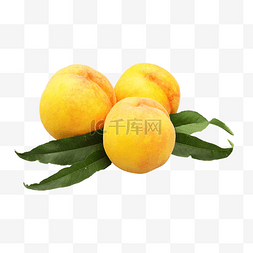 黄桃罐头手绘图片_三个黄桃水果