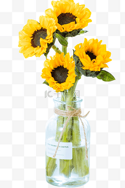 向日葵花瓶鲜花