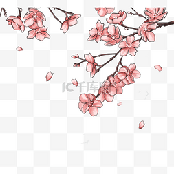 樱花雨图片_手绘春季粉色樱花