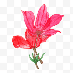 黄色的花蕊图片_红色的小花装饰插画