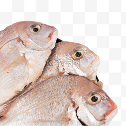 冰镇食品图片_海鱼红立鱼