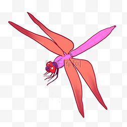 紫红色装饰图片_红蜻蜓装饰插画
