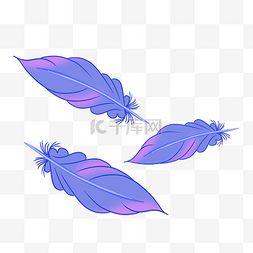 紫色漂浮羽毛