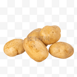 土豆图片_新鲜蔬菜马铃薯