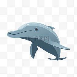 手绘海豚PSD透明底