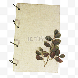 白色书本文艺植物