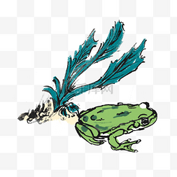 夏天蝌蚪青蛙手绘插画