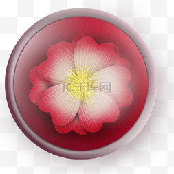 花卉按钮图片_红色花朵立体图标