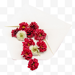 花卉信封图片_红色花朵信封