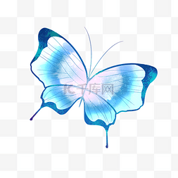 蓝色的蝴蝶图片_翩翩起舞的水蓝色梦幻蝴蝶