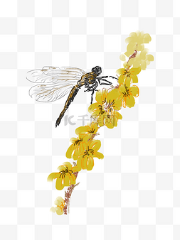 手绘树枝与花图片_蜻蜓与黄色花水墨画