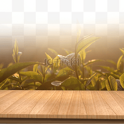 木板图片_绿色植物木板背景