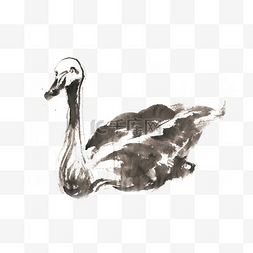 游泳的的鸭子图片_孤独的鸭子水墨画PNG免抠素材