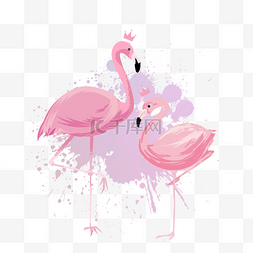 手绘水彩色块粉色爱情火烈鸟