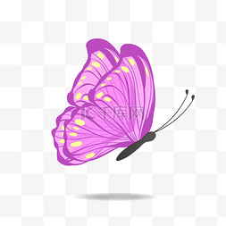 唯美彩色蝴蝶图片_矢量蝴蝶翅膀唯美紫色翩翩起舞