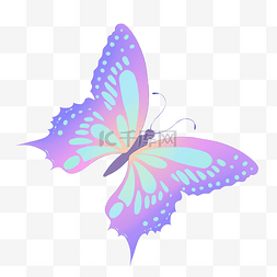 唯美的紫色蝴蝶插画