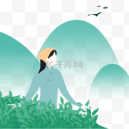 茶叶图片_谷雨主题茶农