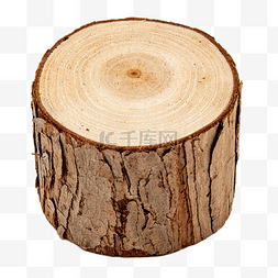 树墩木头木材