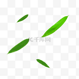 绿色竹叶漂浮装饰叶子
